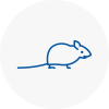 Mice Exterminators In Tilehurst